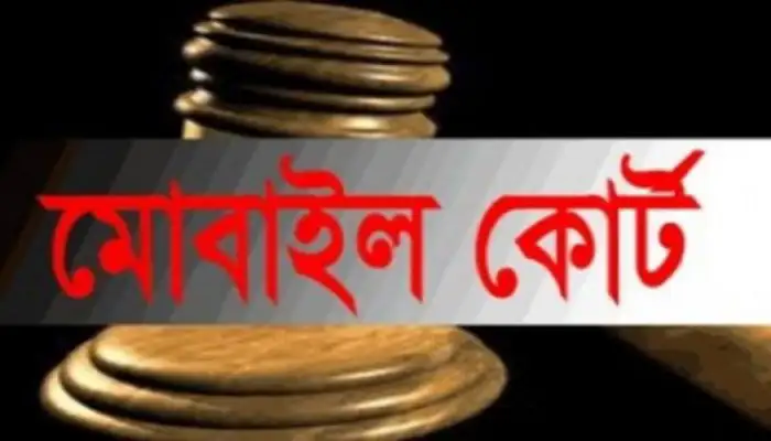 পটিয়ায় মাকে মারধরের অভিযোগে ছেলের ৬০ দিনের কারাদন্ড